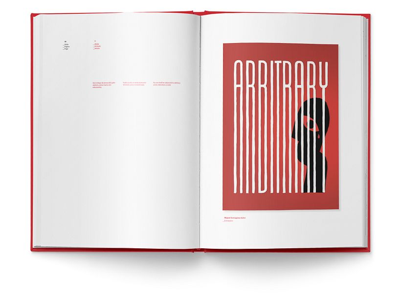 Libro «Miradas a los Derechos Humanos»  8