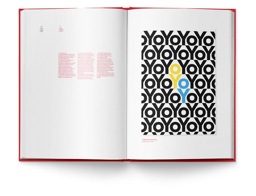 Libro «Miradas a los Derechos Humanos»  14