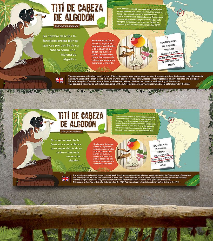 Ilustraciones para Rio Safari Elche 1