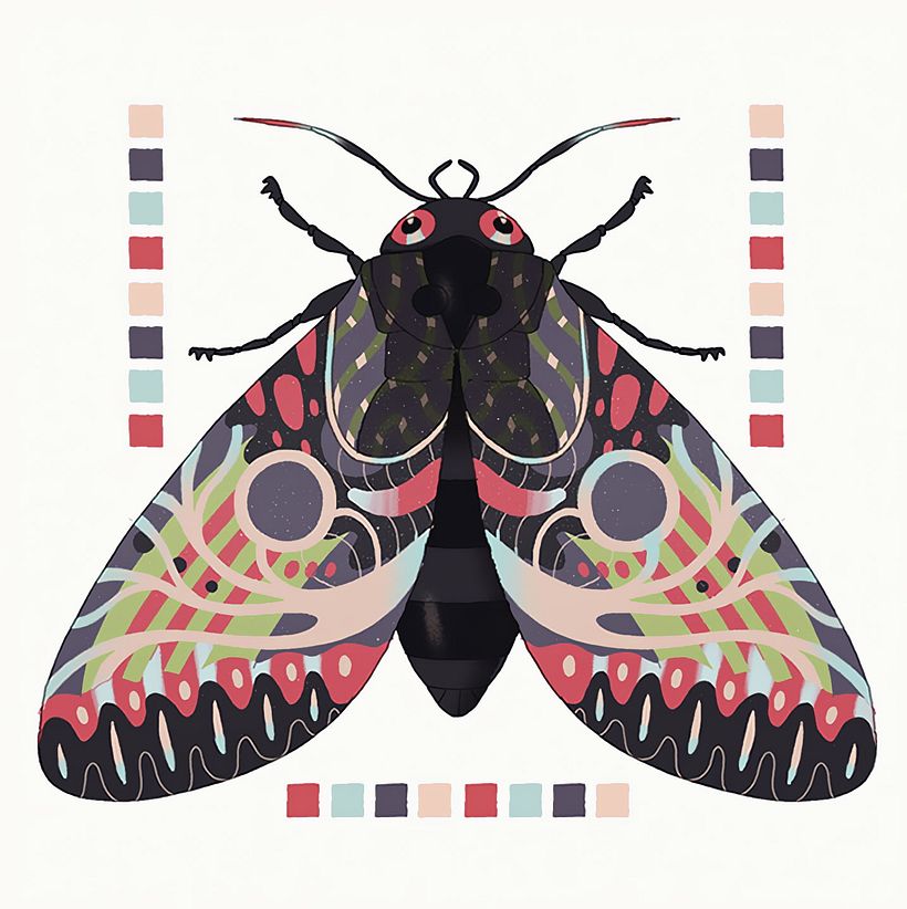 Illustraciones 2017 / 2018 - Digital Illustration