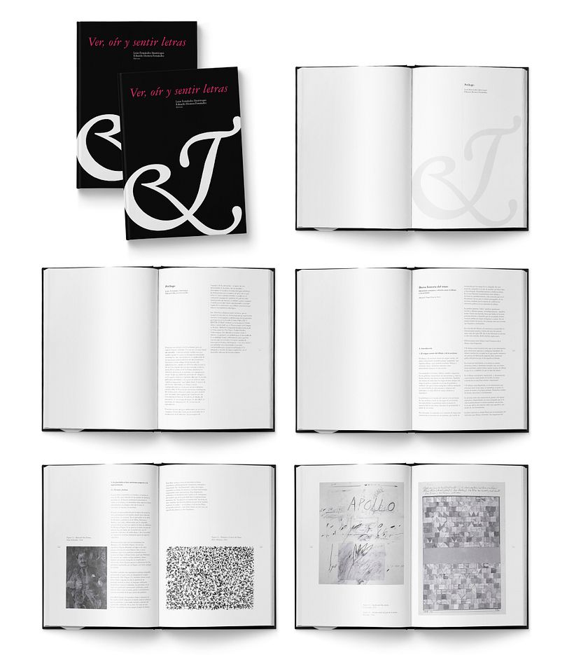 Libro «Ver, oír y sentir letras»  0