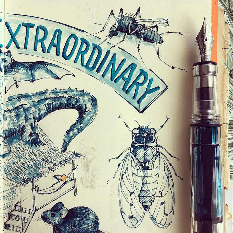 Cuadernos de viaje ilustrados 8