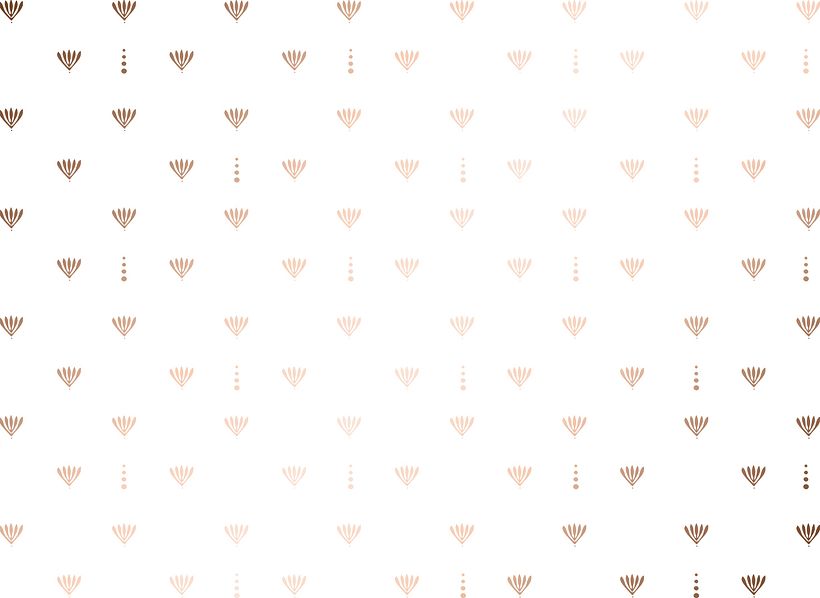 Branding e Identidad  2