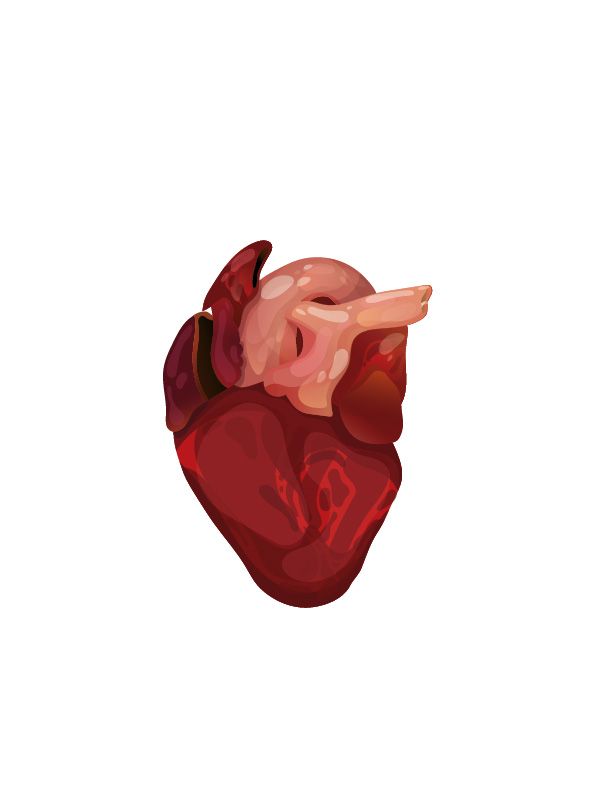 Desigualdad animal - Traditionelle Illustration