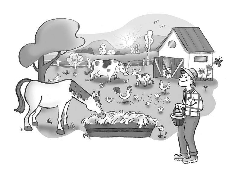 Portfolio Ilustración Libros de Texto 5