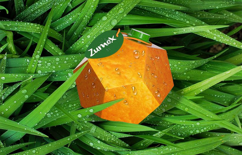 Zumox, zumo de naranja natural 9