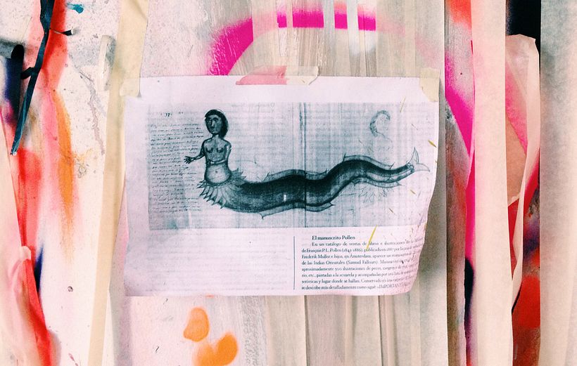 Javier Soto García 4