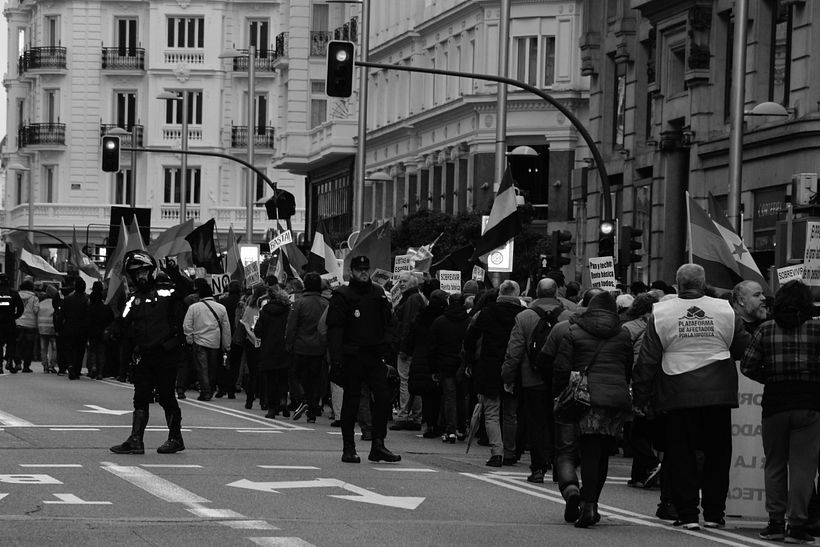 Mi Proyecto del curso: Marchando 0