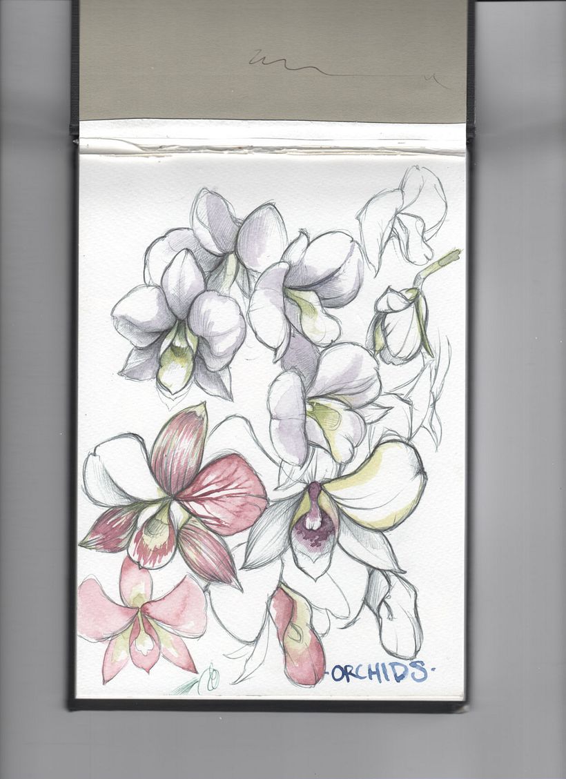 Sketchbook Vol.1 5