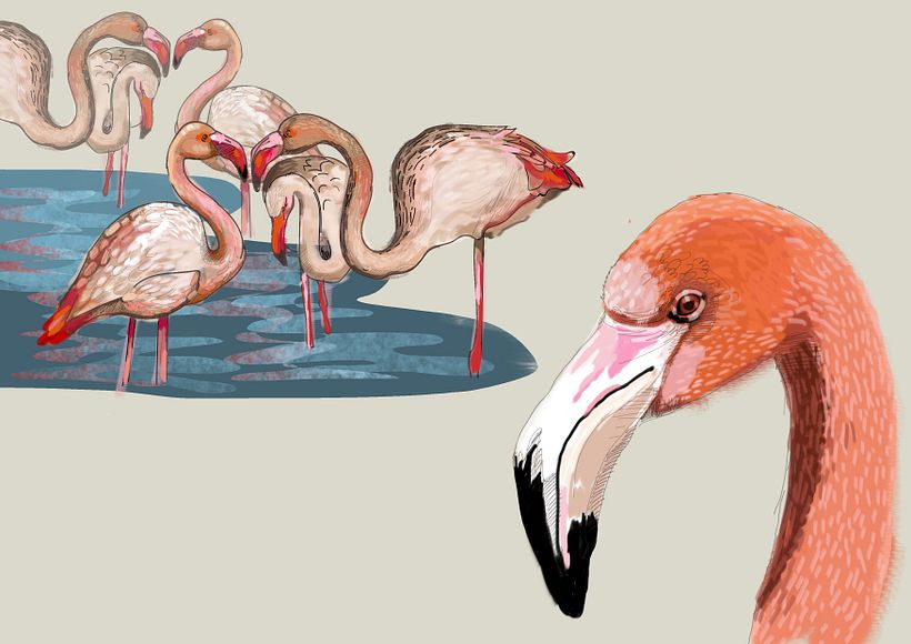 Ilustración naturaleza 0