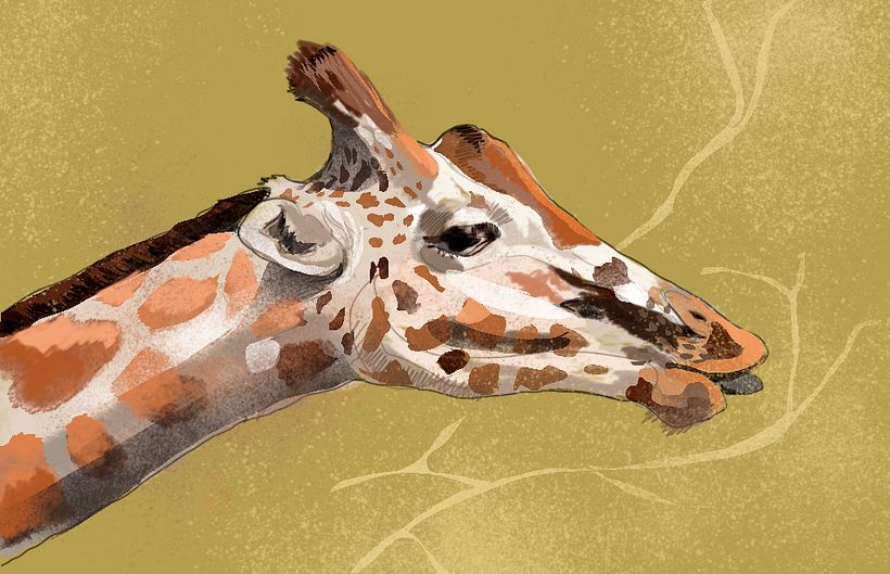 Ilustración naturaleza 1