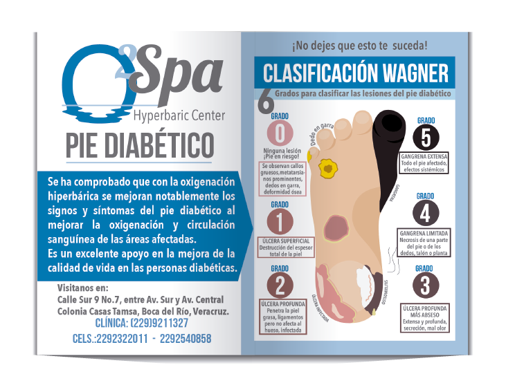 Identidad y papelería O2 Spa 4