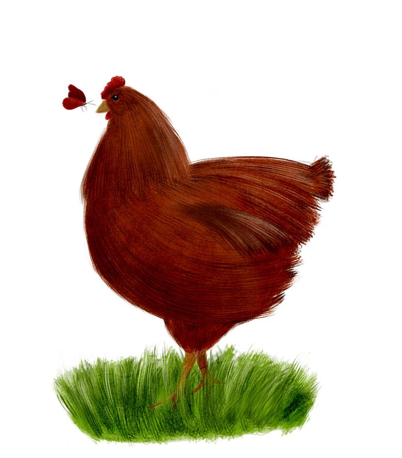 Mi Proyecto del curso: Ilustración digital con lápices de colores 0