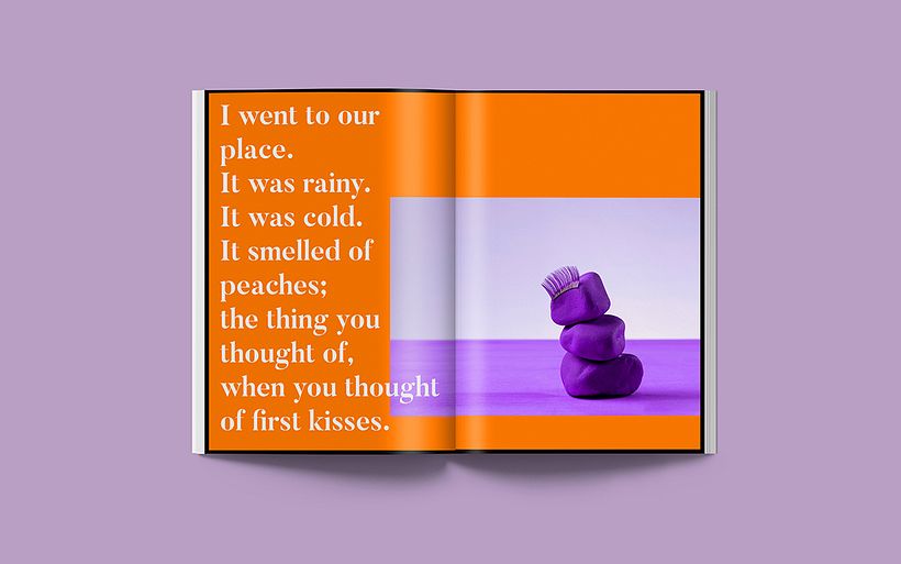 Tartışma + Fandango 21