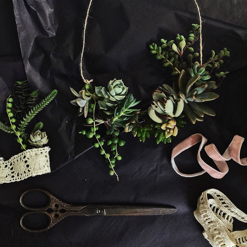 [Accesorios vivos de Suculentas] 2