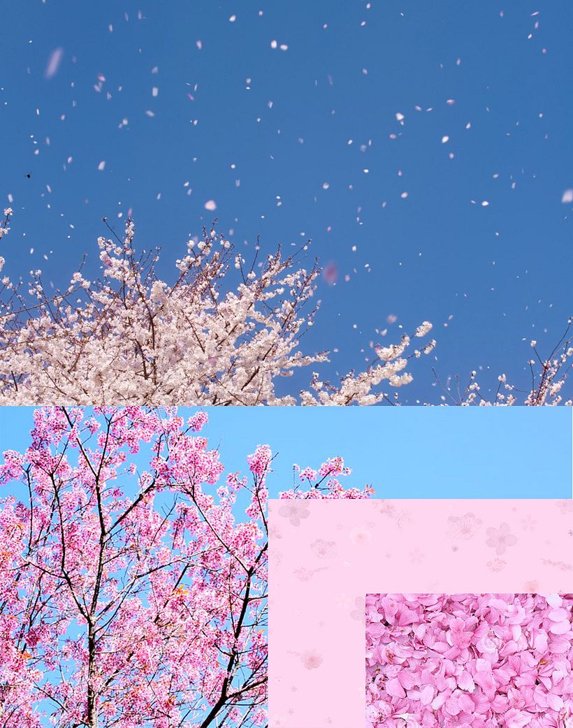 The Power Of The Ramen Girl 7