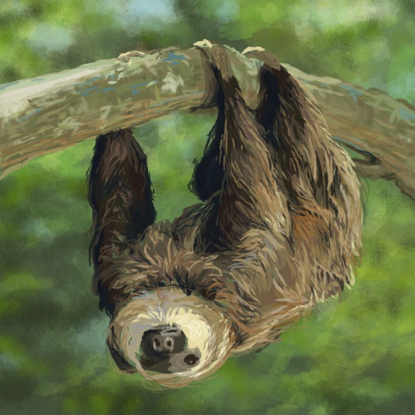 Ilustración Digital 19