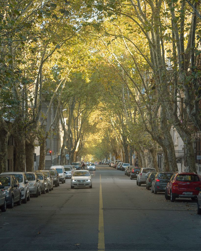 MONTEVIDEO desde otra perspectiva 12