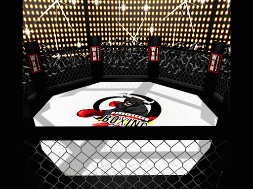 Escenarios de boxeo 1
