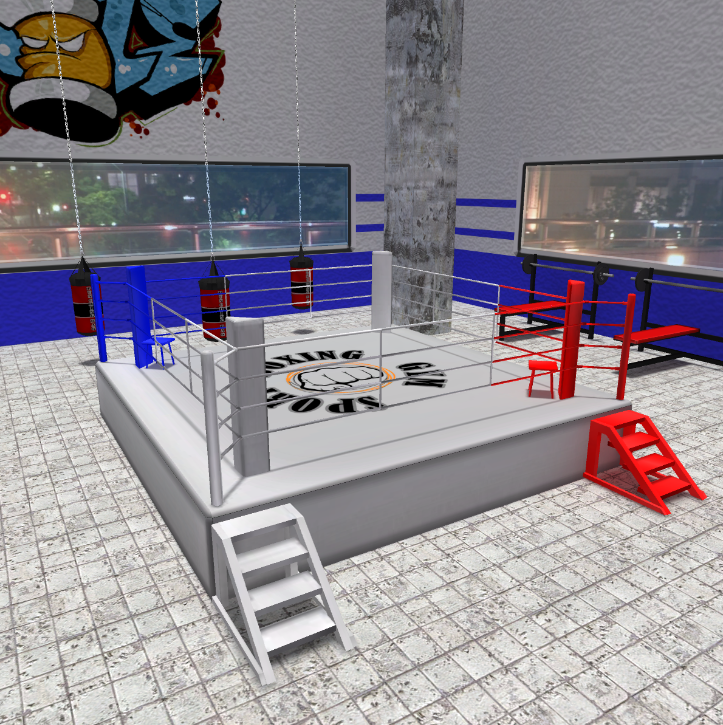 Escenarios de boxeo 4