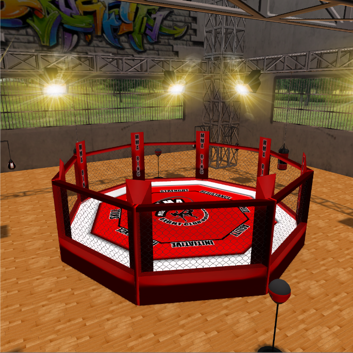 Escenarios de boxeo 5