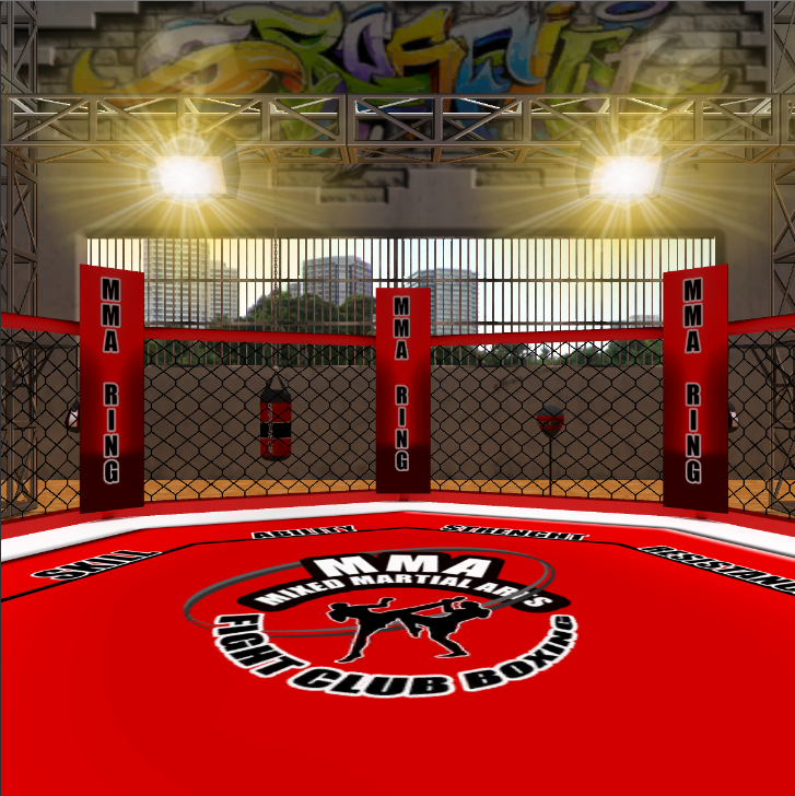 Escenarios de boxeo 6