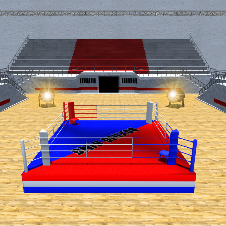 Escenarios de boxeo 10