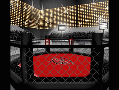 Escenarios de boxeo 9
