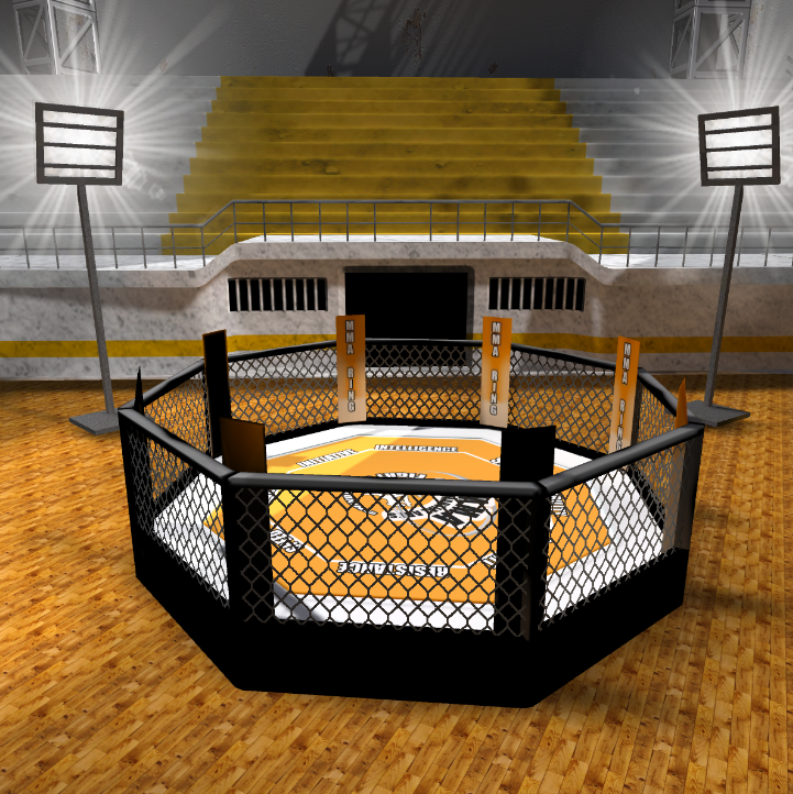 Escenarios de boxeo 14