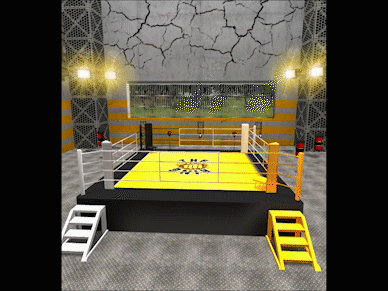 Escenarios de boxeo 13
