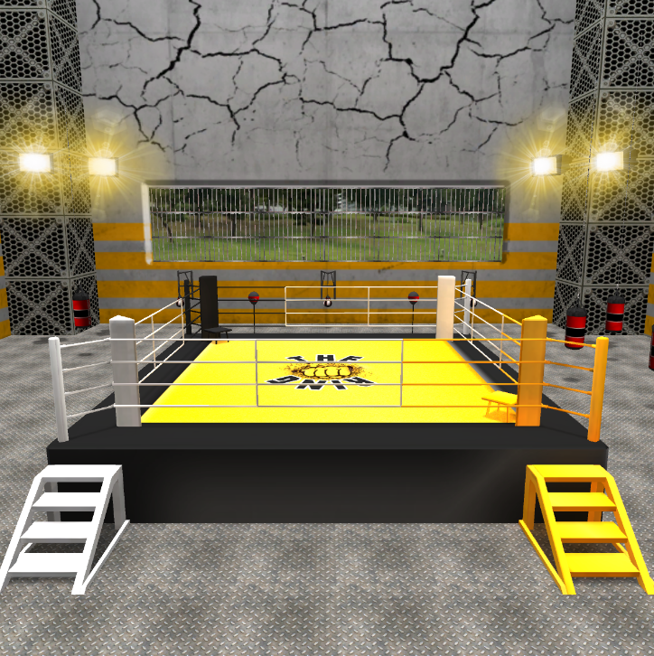 Escenarios de boxeo 12