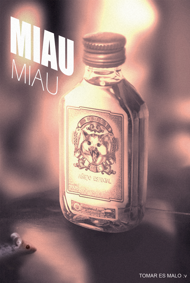 Ron de Villa Costera Gato: Técnicas de grabado digital 3