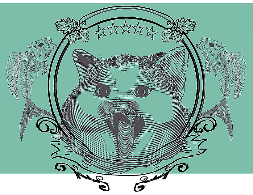 Ron de Villa Costera Gato: Técnicas de grabado digital 0