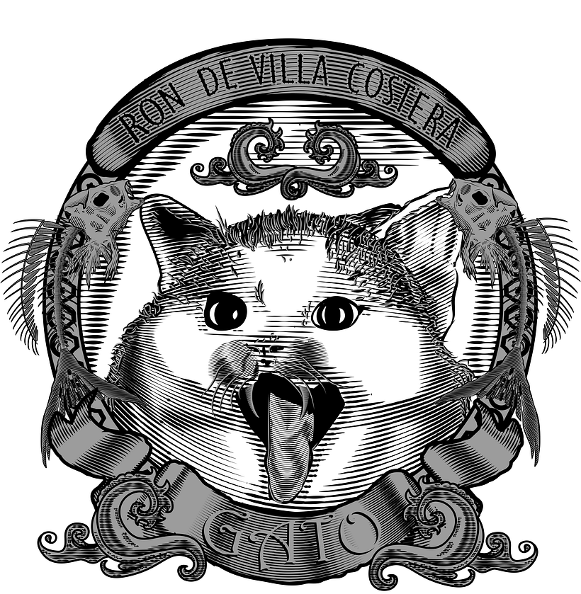 Ron de Villa Costera Gato: Técnicas de grabado digital 1