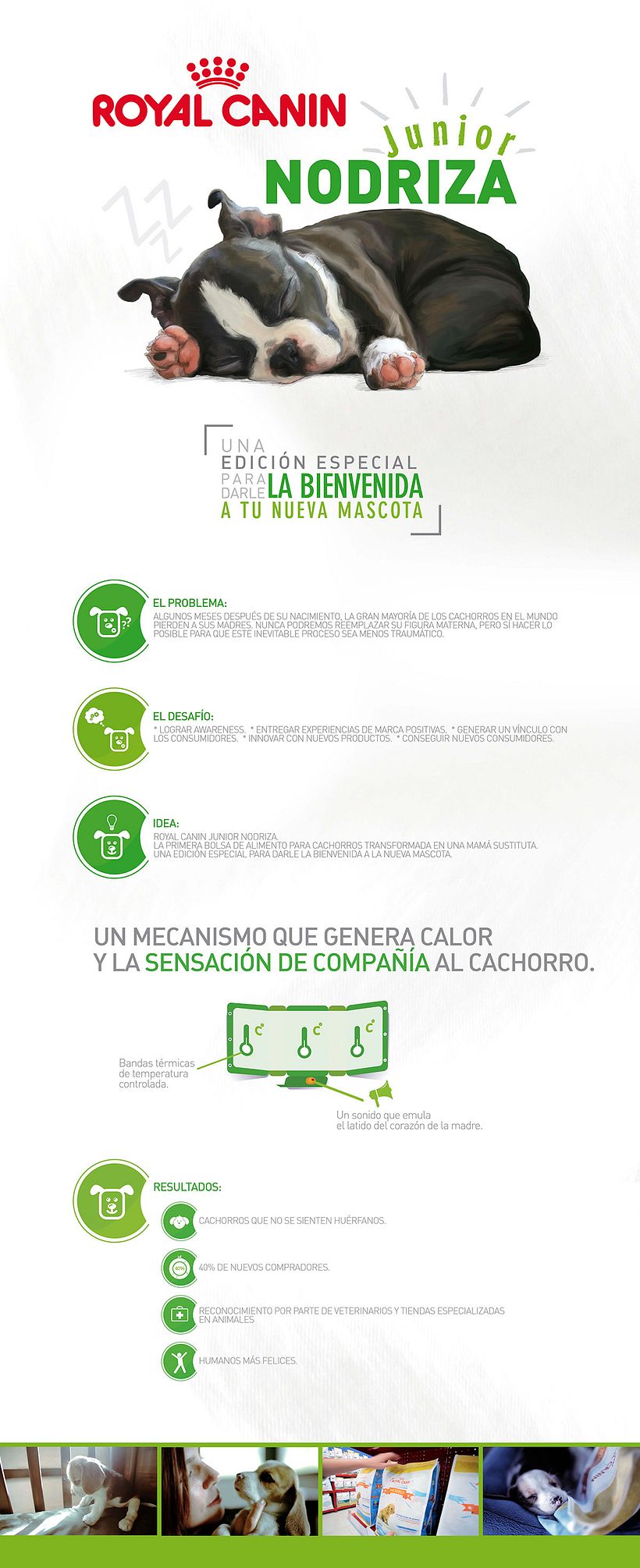 ROYAL CANIN JUNIOR NODRIZA 0
