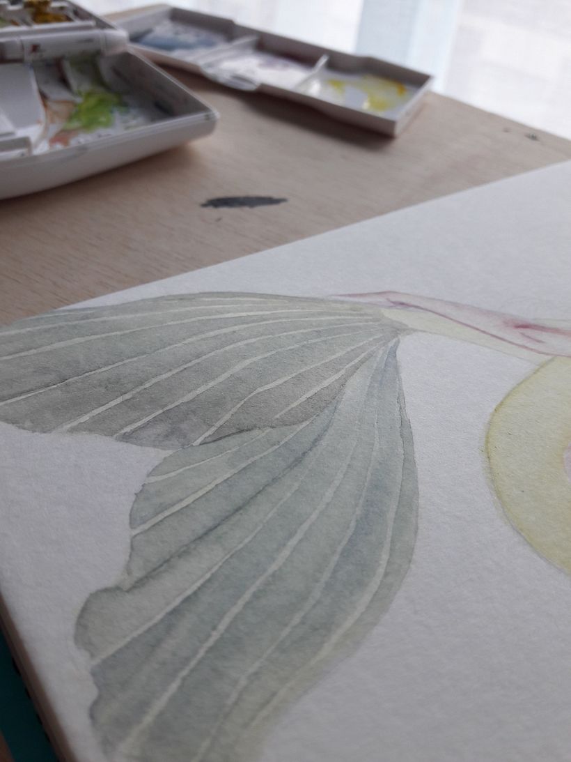 Sirena en acuarela para MerMay 2018 3