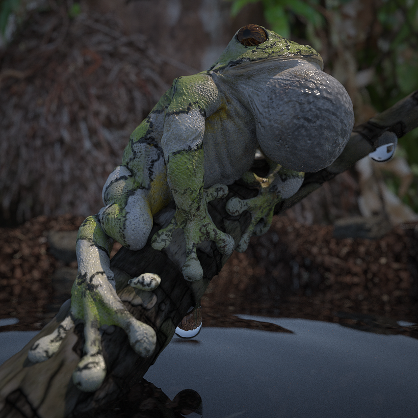Frog render -1
