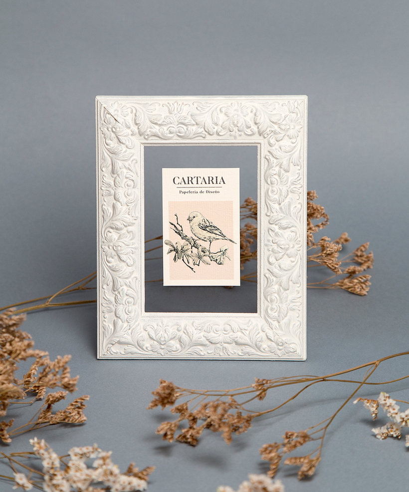 Cartaria, papelería de diseño 4