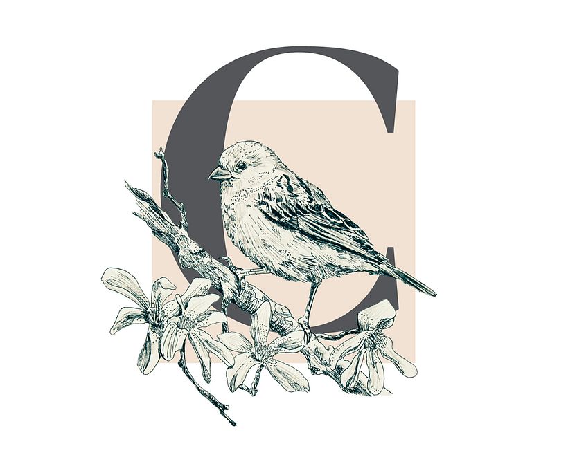 Cartaria, papelería de diseño 0