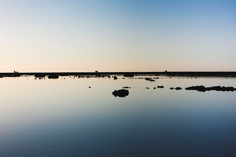 LANDSCAPE 2