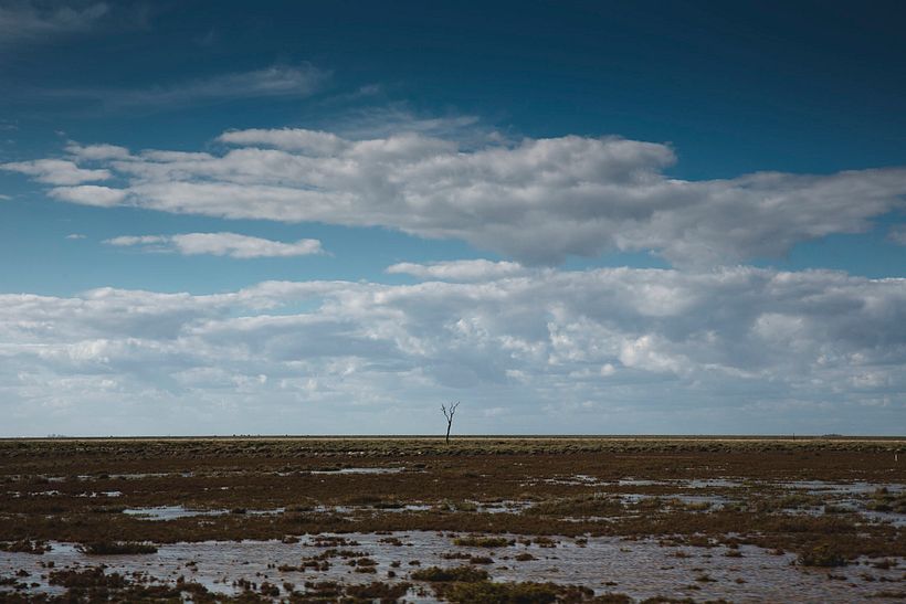 LANDSCAPE 5