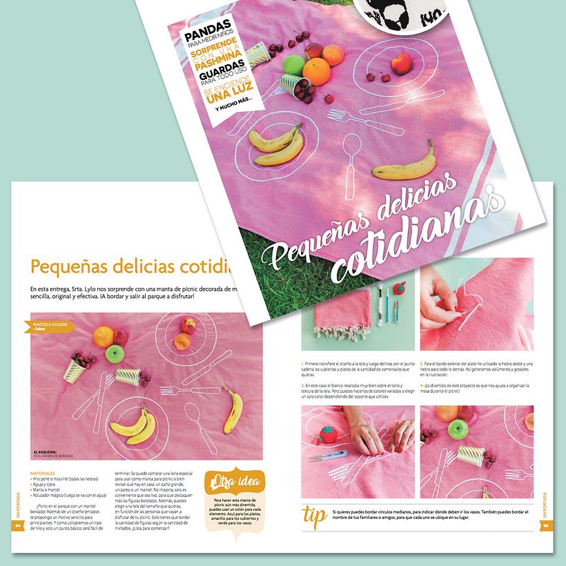 Colección de fascículos "Bordado de Hoy" 17