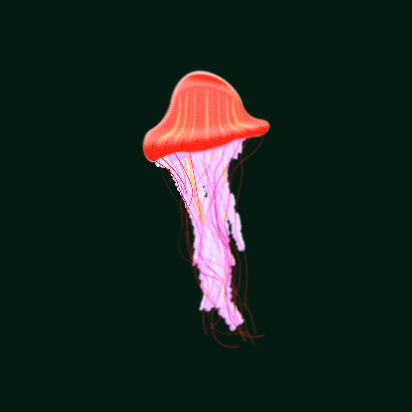 Facts Sealife 6
