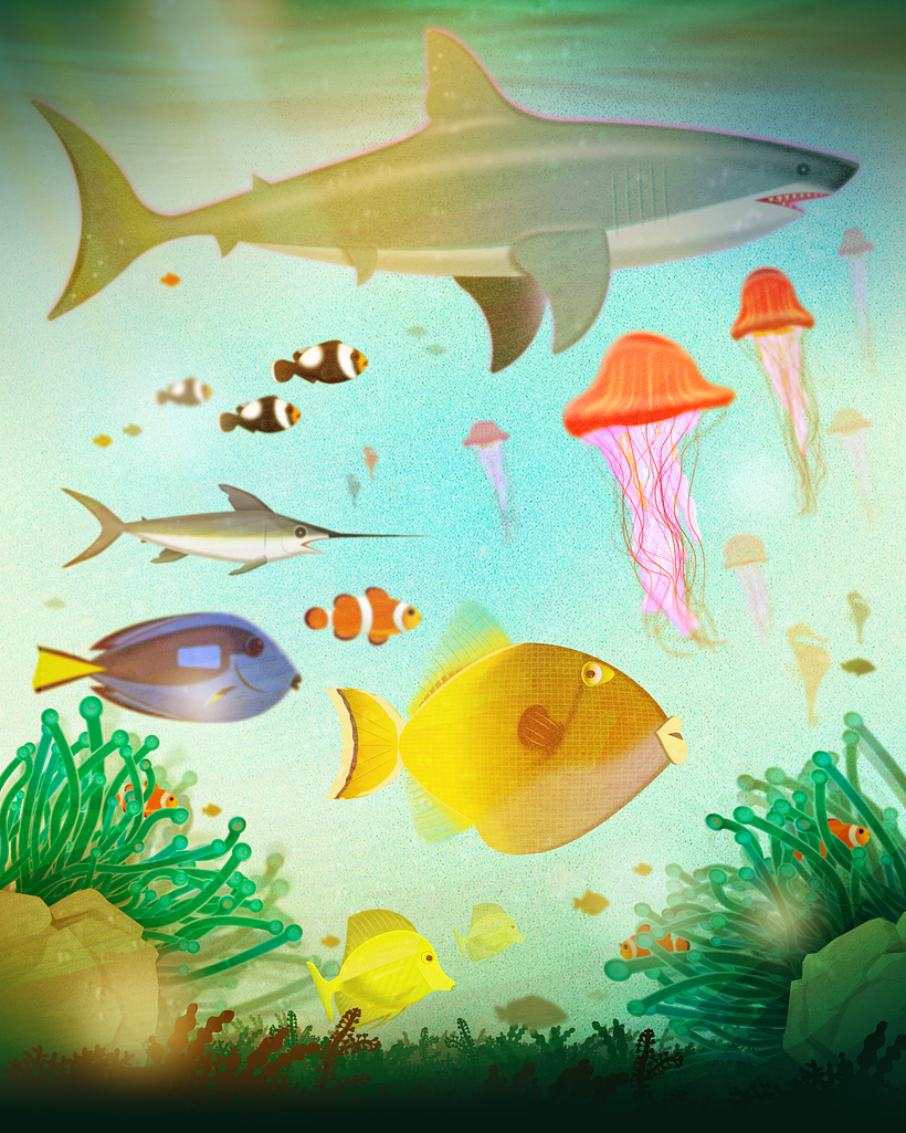 Facts Sealife 2