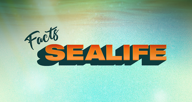 Facts Sealife 0