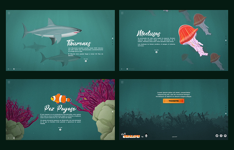 Facts Sealife 4