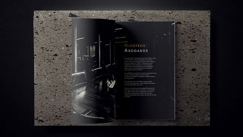 Rico. Robles. Libenson. Bernal. S.C. 12