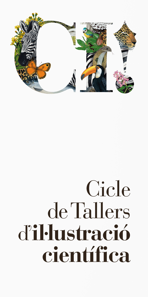 CI! Cicle de tallers d’il·lustració científica 1