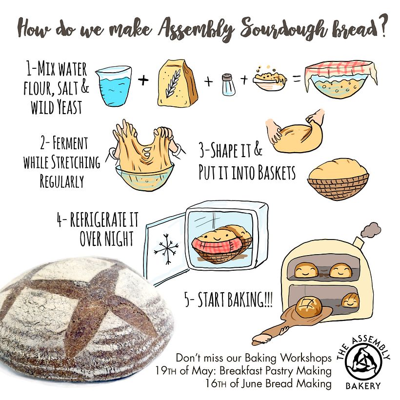 Ilustraciones de comida para The Assembly Bakery 6