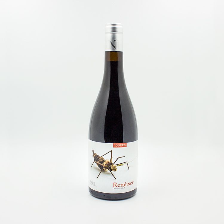 Renéixer, un delicioso vino ilustrado por Patossa 10